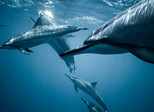 开云APP-沪深两市成交额突破1.5万亿元 较上日此时放量超1400亿元